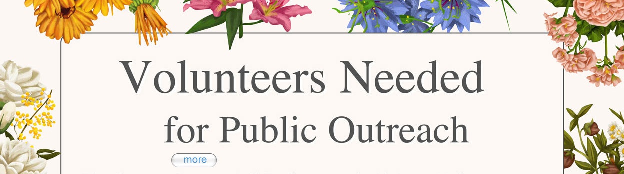 Image: Al-Anon Family Groups